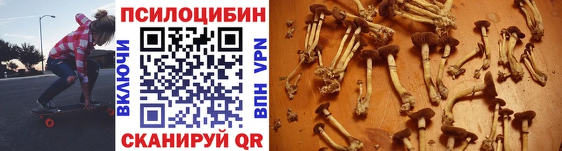 Галлюциногенные грибы GOLDEN TEACHER  Динская 