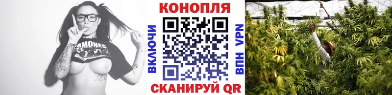 Канабис VHQ Динская